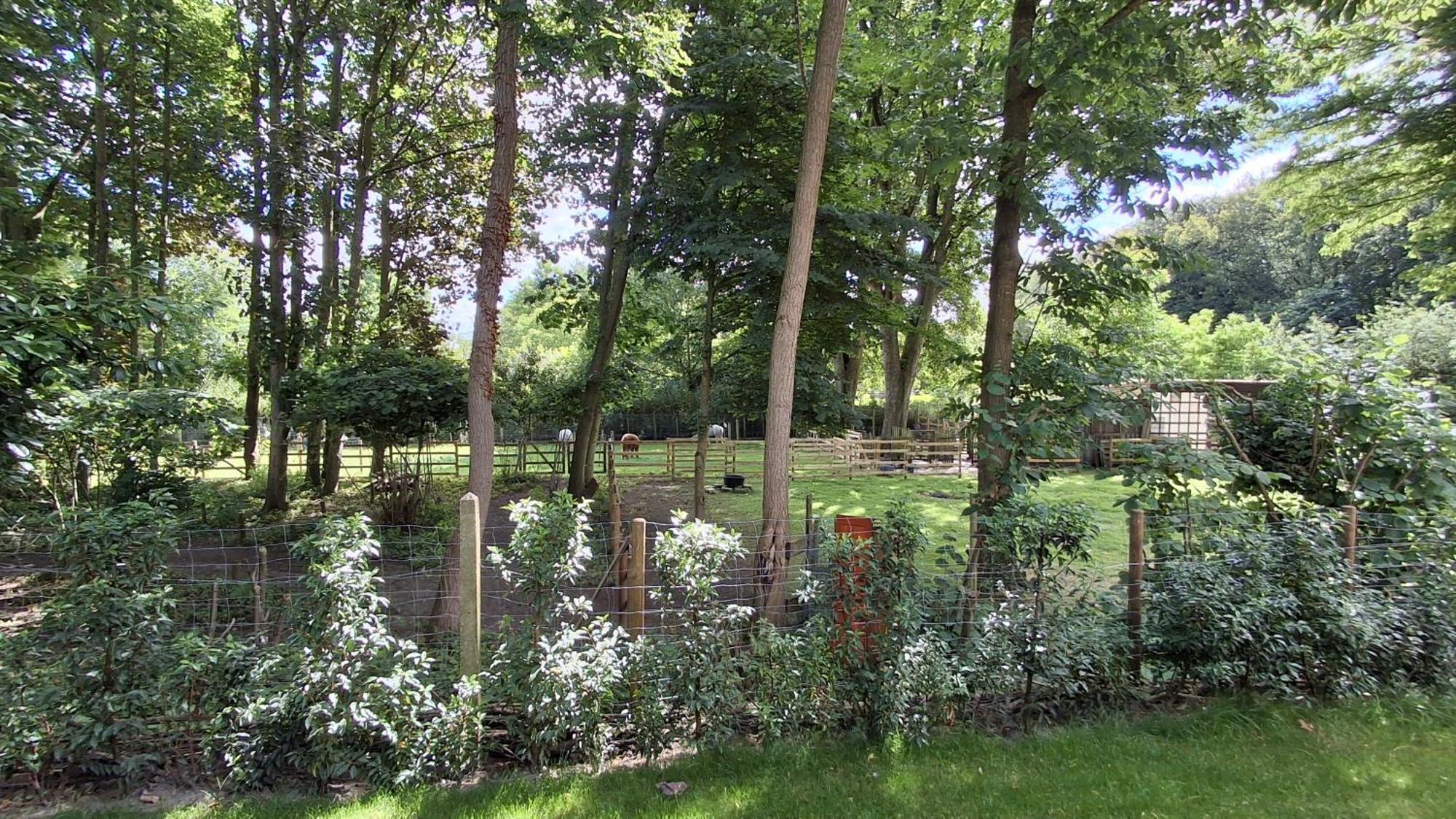 Prive In Groene Omgeving Gratis Fietsen & Parkeerplaats Affittacamere