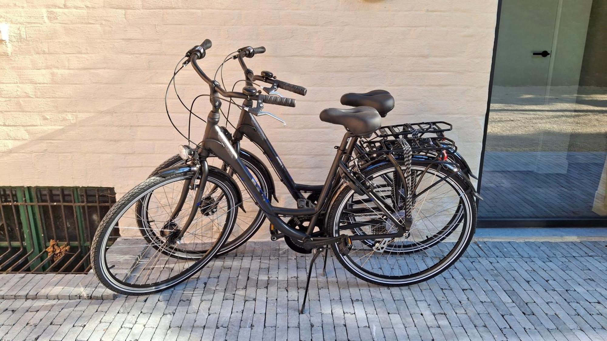 Prive In Groene Omgeving Gratis Fietsen & Parkeerplaats Affittacamere *